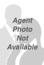  The Levine Team Photo